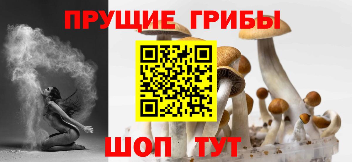 Псилоцибиновые грибы Magic Shrooms  Псилоцибиновые грибы Psilocybe  Нижнекамск  Вход с VPN 